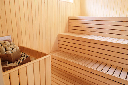 Narconon Eslov drug rehab sauna