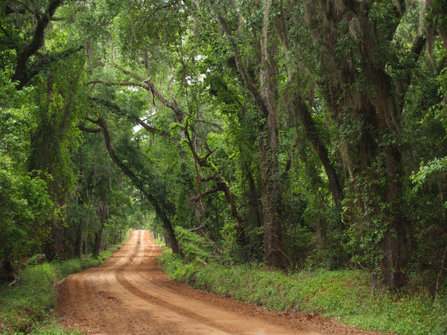 A red clay road in Georgia.